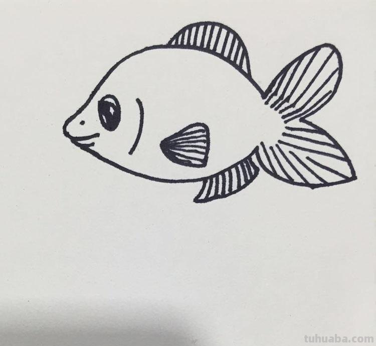 孩子还在画一种鱼？简单的简笔画鱼丰富孩子的素材库