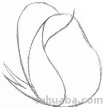 怎么画玫瑰花图片