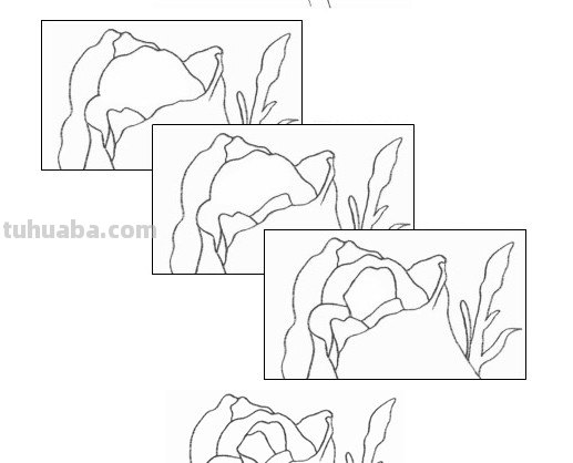 怎么画玫瑰花图片