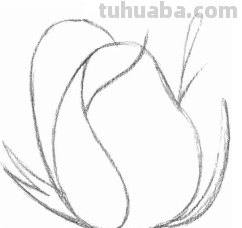 怎么画玫瑰花图片