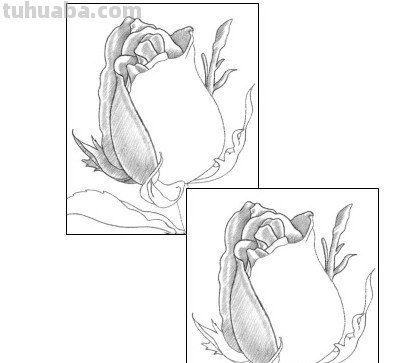 怎么画玫瑰花图片