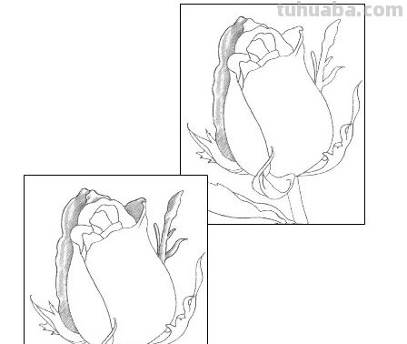 怎么画玫瑰花图片