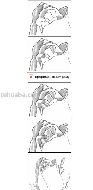 怎么画玫瑰花图片