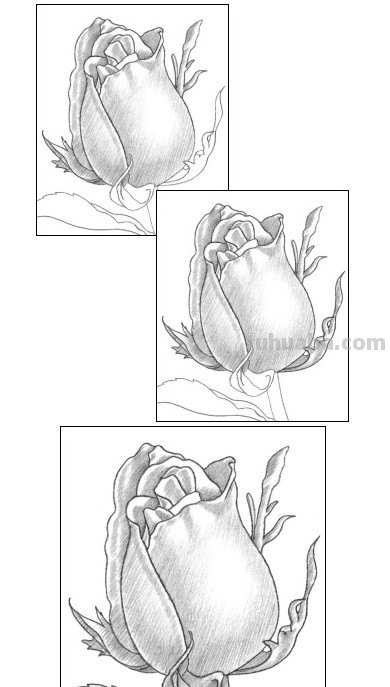 怎么画玫瑰花图片