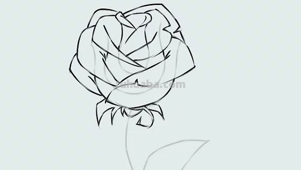 玫瑰花怎样画