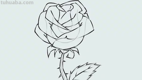 玫瑰花怎样画