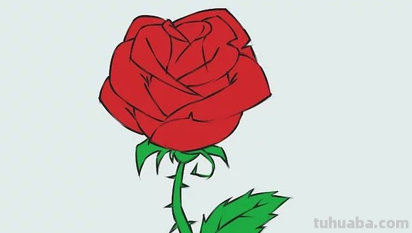 玫瑰花怎样画