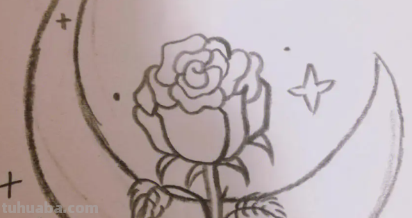 玫瑰花怎么画 简单