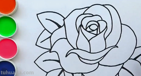 玫瑰花怎么画 简单
