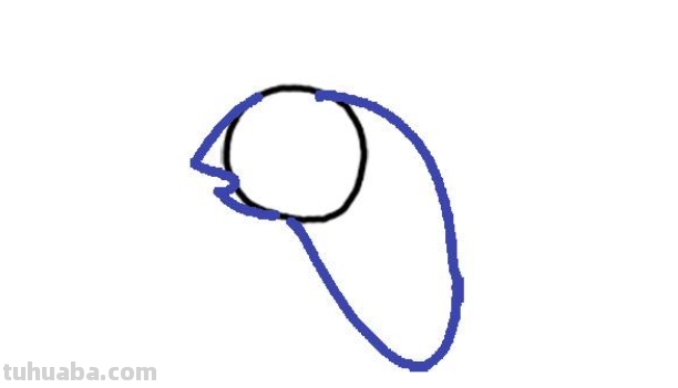 变色龙怎么画 变色龙怎么画