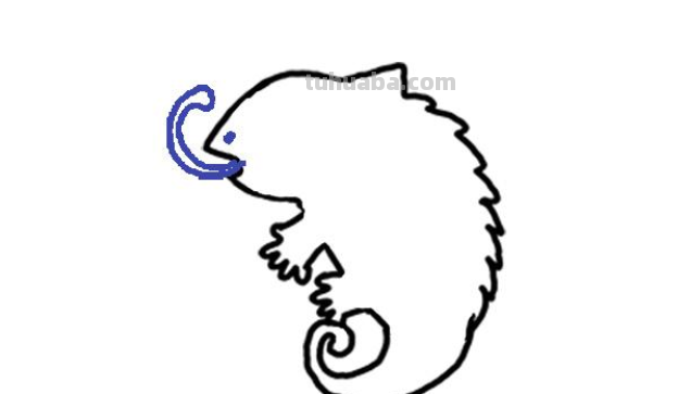 变色龙怎么画 变色龙怎么画