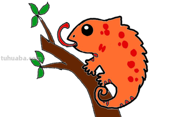变色龙怎么画 变色龙怎么画
