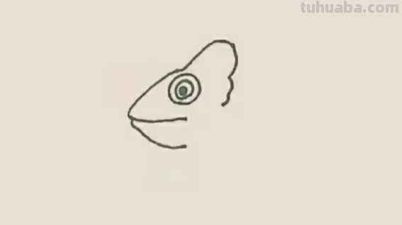 变色龙怎么画简单 变色龙怎么画简单