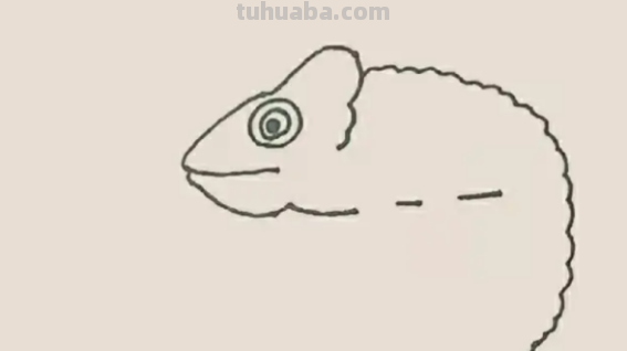 变色龙怎么画简单 变色龙怎么画简单