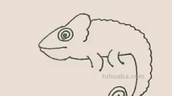 变色龙怎么画简单 变色龙怎么画简单