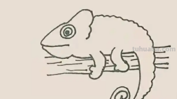 变色龙怎么画简单 变色龙怎么画简单