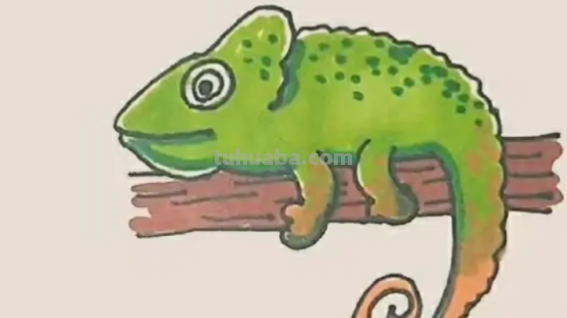 变色龙怎么画简单 变色龙怎么画简单