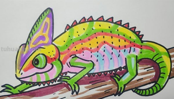 变色龙的画怎么画 变色龙的画怎么画