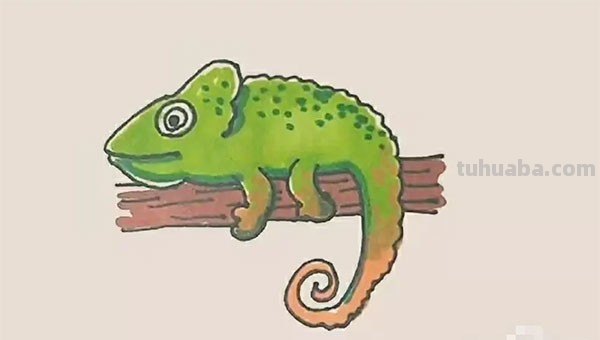 变色龙的画怎么画 变色龙的画怎么画