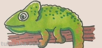 7一9岁怎么画变色龙 7一9岁怎么画变色龙