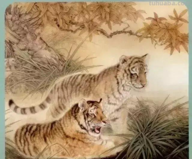 国画基础教程：工笔画虎技法及线描画谱