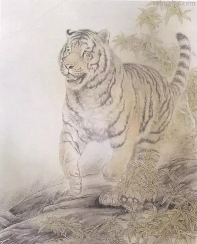 国画基础教程：工笔画虎技法及线描画谱