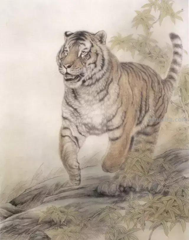 国画基础教程：工笔画虎技法及线描画谱