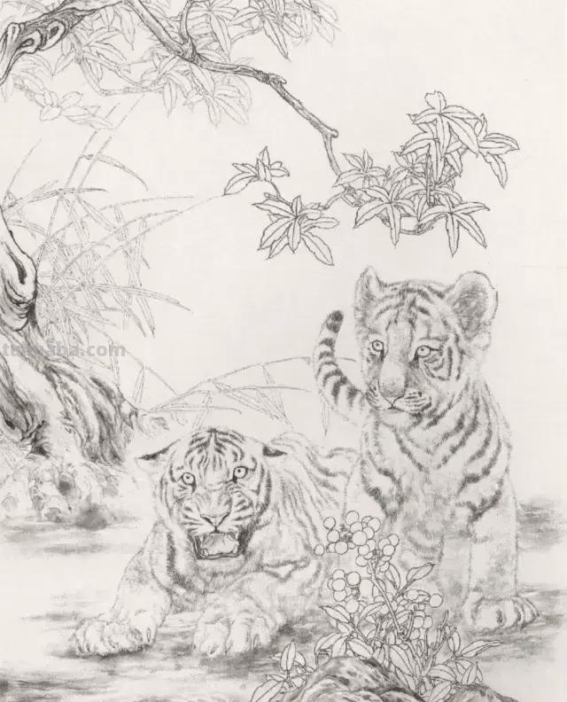 国画基础教程：工笔画虎技法及线描画谱