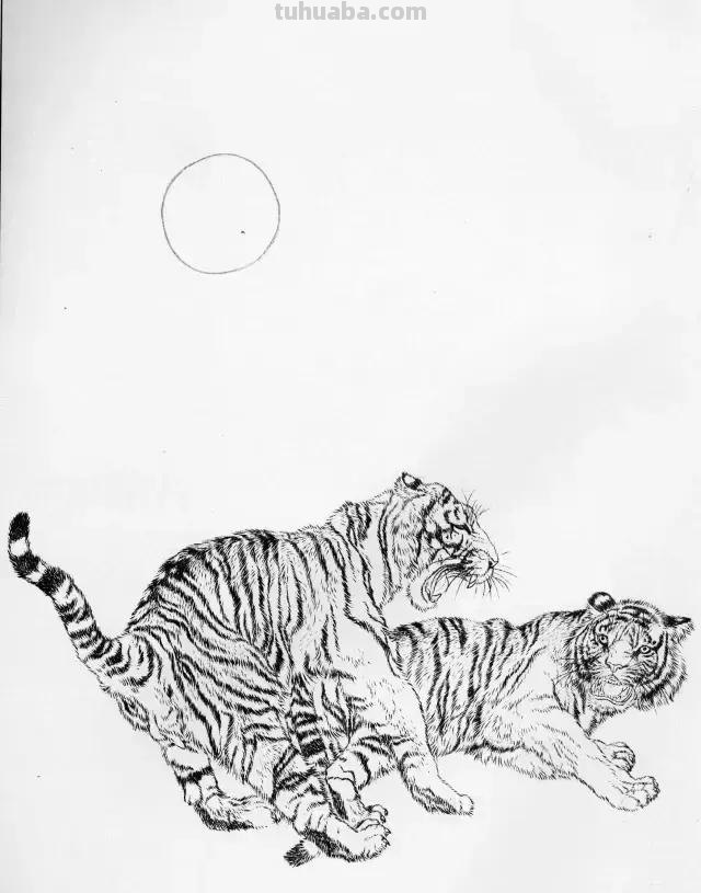 国画基础教程：工笔画虎技法及线描画谱