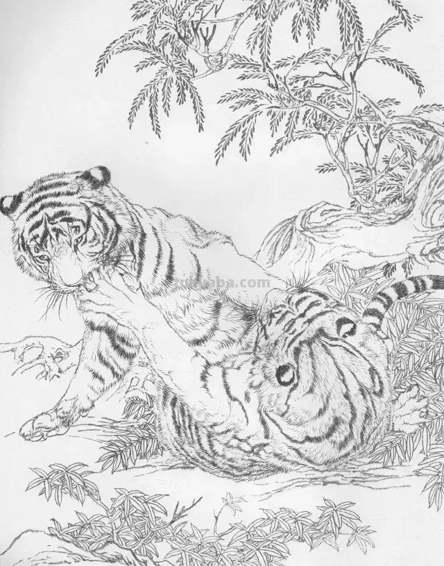 国画基础教程：工笔画虎技法及线描画谱