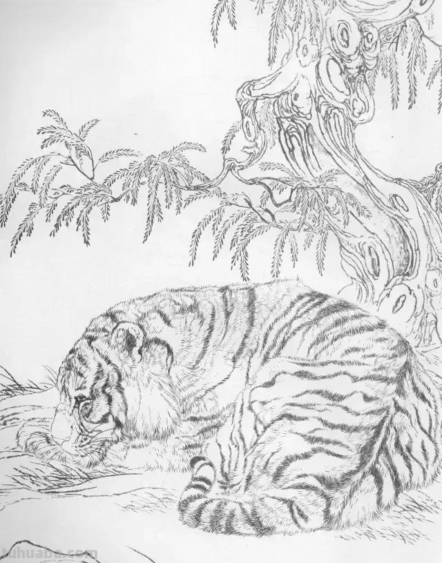 国画基础教程：工笔画虎技法及线描画谱