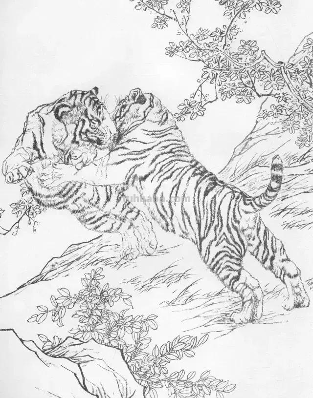 国画基础教程：工笔画虎技法及线描画谱