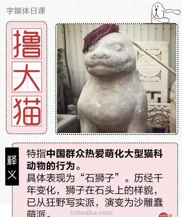 每一头移民中国的非洲雄狮，都无法逃脱“鬼畜卷毛狗定律”