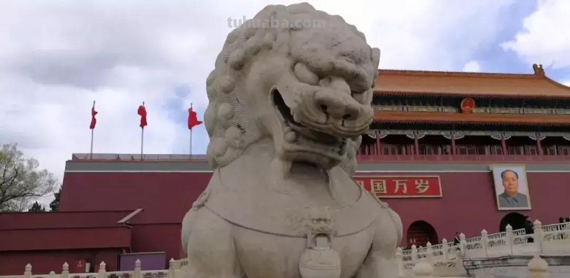 每一头移民中国的非洲雄狮，都无法逃脱“鬼畜卷毛狗定律”