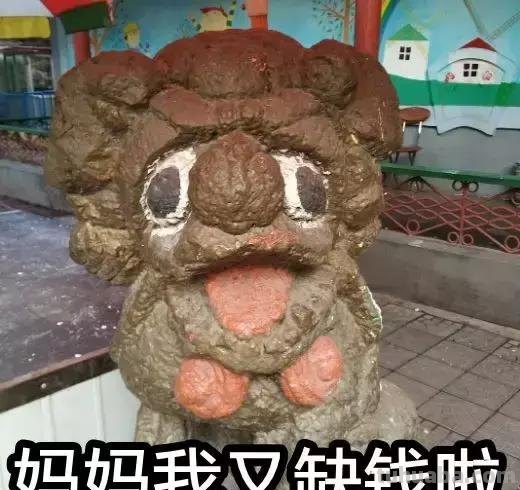 每一头移民中国的非洲雄狮，都无法逃脱“鬼畜卷毛狗定律”