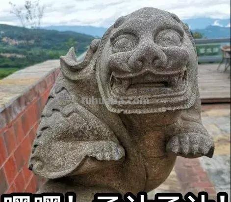 每一头移民中国的非洲雄狮，都无法逃脱“鬼畜卷毛狗定律”