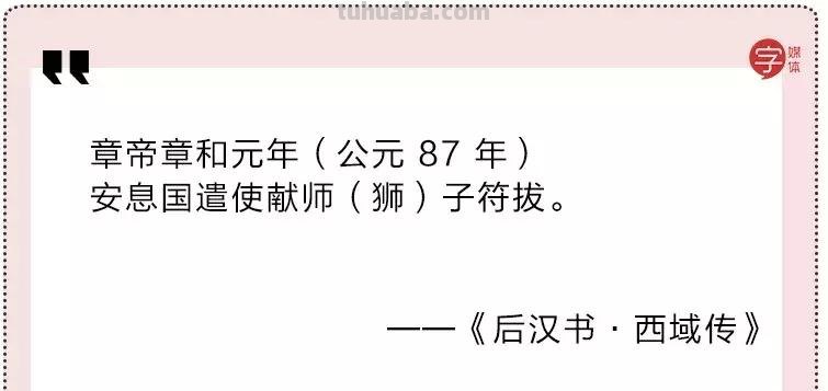 每一头移民中国的非洲雄狮，都无法逃脱“鬼畜卷毛狗定律”