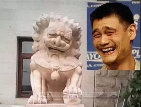每一头移民中国的非洲雄狮，都无法逃脱“鬼畜卷毛狗定律”