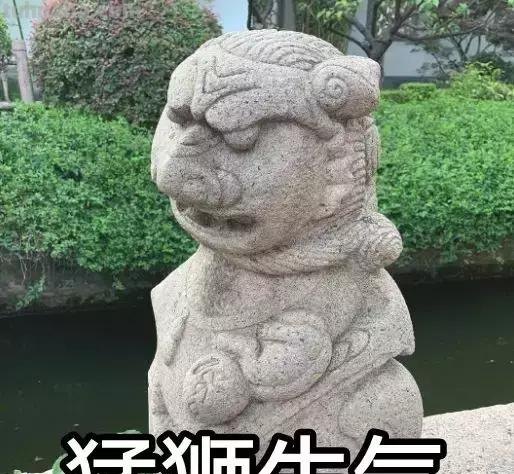 每一头移民中国的非洲雄狮，都无法逃脱“鬼畜卷毛狗定律”