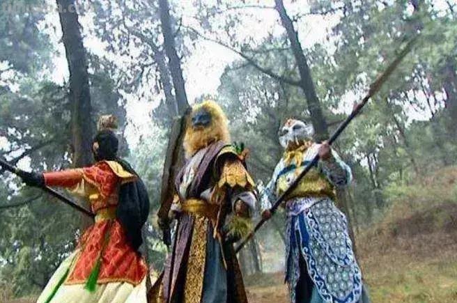 每一头移民中国的非洲雄狮，都无法逃脱“鬼畜卷毛狗定律”