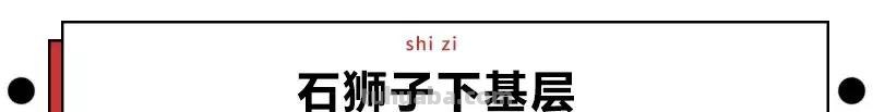 每一头移民中国的非洲雄狮，都无法逃脱“鬼畜卷毛狗定律”