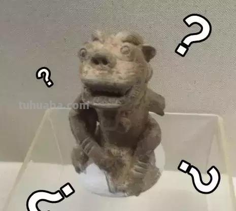每一头移民中国的非洲雄狮，都无法逃脱“鬼畜卷毛狗定律”