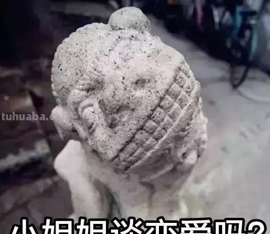 每一头移民中国的非洲雄狮，都无法逃脱“鬼畜卷毛狗定律”