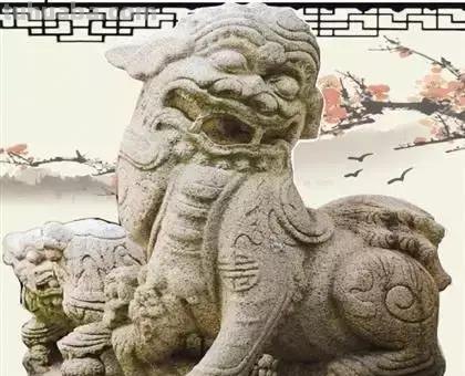 每一头移民中国的非洲雄狮，都无法逃脱“鬼畜卷毛狗定律”