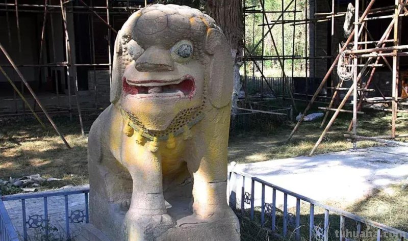 每一头移民中国的非洲雄狮，都无法逃脱“鬼畜卷毛狗定律”