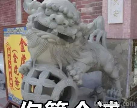 每一头移民中国的非洲雄狮，都无法逃脱“鬼畜卷毛狗定律”