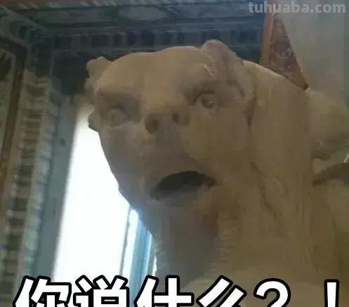 每一头移民中国的非洲雄狮，都无法逃脱“鬼畜卷毛狗定律”