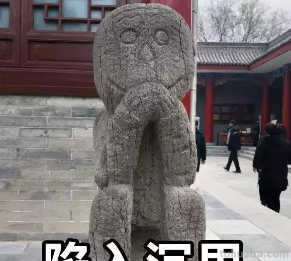 每一头移民中国的非洲雄狮，都无法逃脱“鬼畜卷毛狗定律”