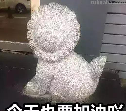 每一头移民中国的非洲雄狮，都无法逃脱“鬼畜卷毛狗定律”
