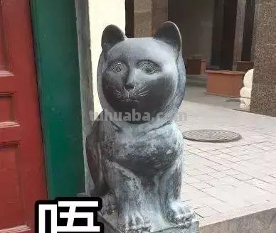每一头移民中国的非洲雄狮，都无法逃脱“鬼畜卷毛狗定律”